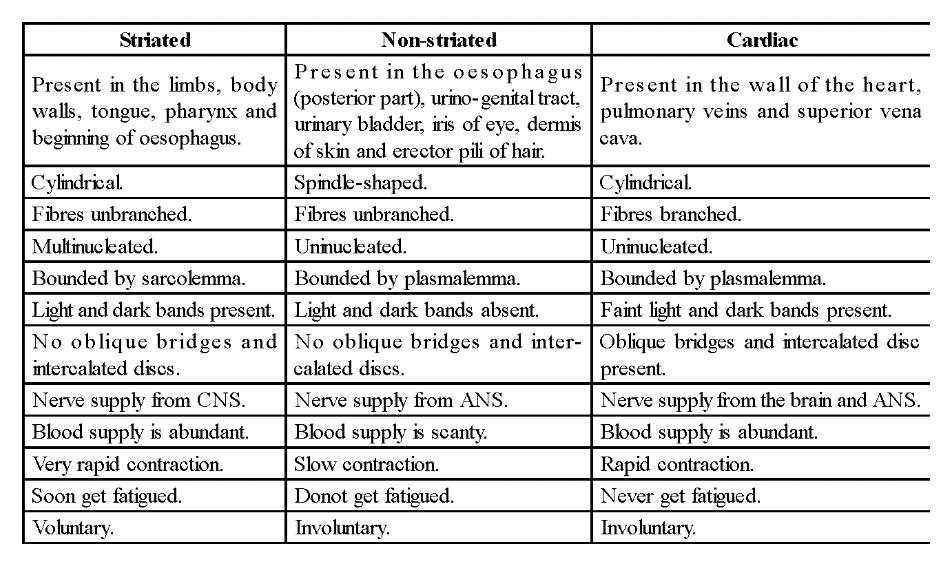Nervous Tissue